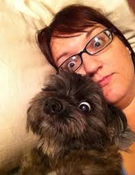 was not my pooch)😢 Oscar was very important in having the laws changed for  puppy farming, but there's still a long way to go especially with back yard  breeders :/