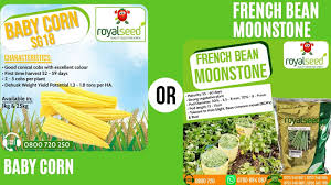 This Appetizingapril Looking At Royal Seed Africa Facebook