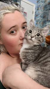 Destiny & Luna are a little over a year sister pitties surrendered to DVHS  yesterday. They will need to be spayed and we are working