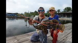 Rod Breaking Groupers At Fishing Buddies Kl Malaysia Youtube