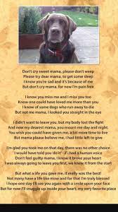 I So Cried Like A Baby I Love You So Much Stretch And Momma Misses You So Much Dog Poems Dogs Pet Remembrance