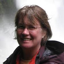 Taro-san the Fisherman and the Weeping Willow Tree : Balogh, Dr Andras,  Kadoya, Yukishige, Hatch, Richard: Amazon.co.za: Books