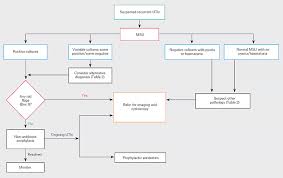 Image result for Recurrent Cystitis