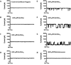 All the instruments either for laboratory use or field use will be periodically calibrated and traceable to either accredited laboratory or national laboratory. Identification And Functional Characterization Of A Novel Oprd Like Chitin Uptake Channel In Non Chitinolytic Bacteria Sciencedirect