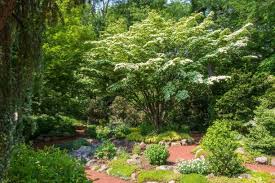 We did not find results for: 10 Best Trees For Small Gardens Best Small Trees For Tiny Yards