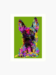 Belgian Shepherd Malinois Art Print