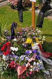 Learn more on stockorbit at . Frisches Grab Stock Foto Adobe Stock