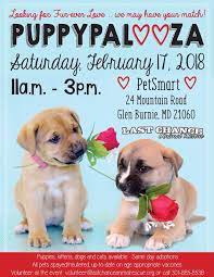 Montgomery county animal services and adoption center montgomery county office of animal services 7315 muncaster mill road · derwood, md 20855 · telephone: Events Last Chance Animal Rescue