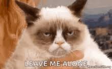 If you think maybe thus, i'l m so, if you desire to receive all these outstanding photos regarding grumpy cat memes clean funny, press save button to save these pictures to your. Grumpy Cat Gifs Tenor