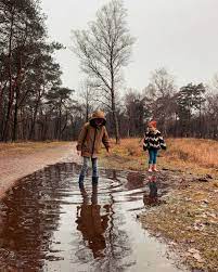 Things to do near leersumse veld. Tips Voor Bezoek Leersumse Veld In Leersum Nederlandsglorie
