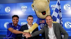 — schalke's mascot showed referee felix zwayer his own red card after he failed to award the side a penalty at the. Legendary German Soccer Team Fc Schalke 04 Partners With Kick It 3v3 Soccertoday