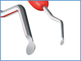 Some of the common dental excavator types are enamel chisels, gingival margin trimmers, enamel hatchet, and spoon. Round Excavator 2 0 Mm Lm Dental