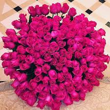 We did not find results for: Pin On Gorgeous Flowers