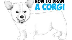 Draw the outline of a dog. How To Draw A Corgi Puppy Easy Step By Step Realistic Drawing Tutorial For Beginners How To Draw Step By Step Drawing Tutorials