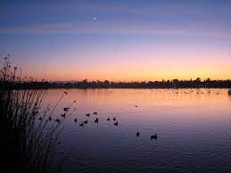 Lake Elizabeth Fremont Ca Fremont California Fremont San Francisco Bay Area