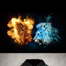 Cool water and fire light effect background, fire and water yin yang, computer wallpaper, sphere, light effect png. Yin Yang Fire And Water Lions Clothing Or Apparel Contest 99designs