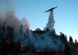 British columbia is an economy based on the forest industry. British Columbia 2003 Forest Fires Valour Canada