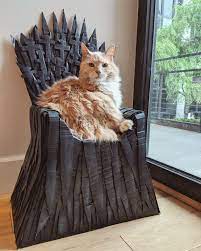 Ballynahinch castle hotel house stark of winterfell has succumbed to a tragic fate on game of thrones. the clan's downfall began once lord. How I Made Arthur S Cardboard Iron Throne Cat Post Cat Bed Cute Cats And Kittens