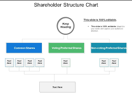 Shareholder Structure Chart Powerpoint Templates