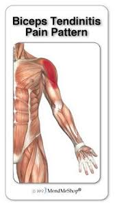 Pin On Fitness Health