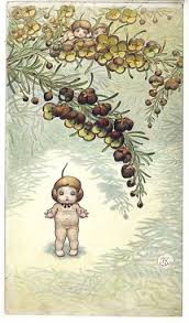 Illustrations May Gibbs Nutcote Illustration Australian Art Art