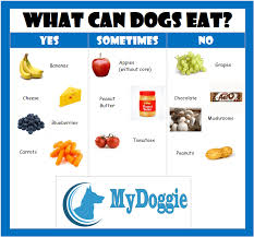 Most dog owners would say that their dogs eat anything they can get their paws on. What Can Dogs Eat Human Foods To Feed Your Dog Or Avoid