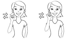 Bird In Sign Language Baby Aunt Baby Sign Language Baby Signs Baby Sign Language Book