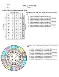 Codon Chart Practice Worksheets Teaching Resources Tpt
