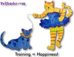 Get To Know The Stray Connection Cat Adoption Rottweiler Rescue Dog Adoption
