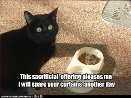Praise Basement Cat Lolcats Lol Cat Memes Funny Cats Funny Cat Pictures With Words On Them Funny Pictures Lol Cat Memes Lol Cats