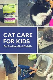 Teaching Kids How To Care For Cats Printable Cat Care Chore Chart A Cookie Before Dinner Cat Care Kitten Care Free Cats