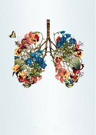 Decoration Floral Design Art Background Lungs Art Anatomy Art Art