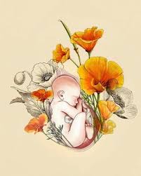 alisha kaldor adli kullanicinin imagenes bonitas panosundaki pin bebek sanati dogum sanat ilham veren sanat