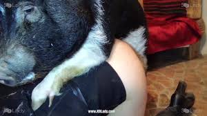 Basic desire selena k9lady - zbavsatoho.sk