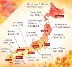 Published on nov 21, 2018. Autumn In Japan 2020 How To Enjoy The Fall Foliage Season Matcha Japan Travel Web Magazine