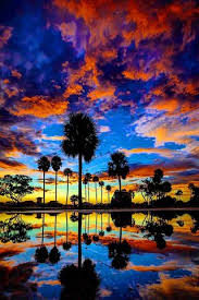 Make your cell phone /mobile phones look professional with amazing plain backgrounds. Phoneky Florida Hd Wallpapers