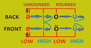 Turkish Phonology Vowel Harmony