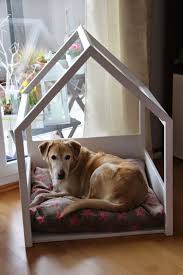 Die Ersten Schrecksekunden Sind Vorbei Hundeecke Haustierbetten Hunde Haus