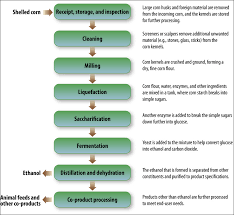 59 Particular Beer Manufacturing Process Flow Chart Pdf