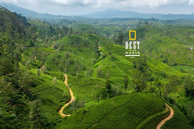 The pekoe trail - The Pekoe Trail Organisation