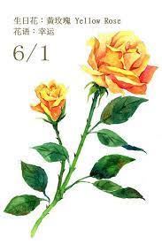 每日一花6 1 haru hello flower drawing watercolor flowers flower art