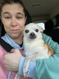 For current road conditions you may call: 511