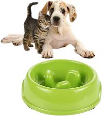 Maybe you would like to learn more about one of these? Kunls Puppy Bowls Small Slow Feeder Dog Bowl Dog Bowl Puppy Bowls Cat Bowl Large Dog
