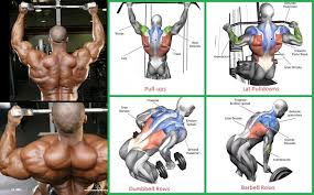 Thick And Wide Back Routine Building A Massive Back Gym