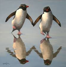 Cover Competition Cute Penguins Animals Penguins
