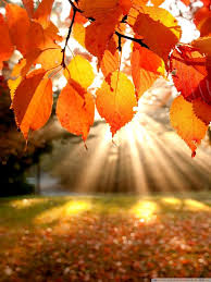 Choose from the best android wallpapers, perfect for your phone background or lockscreen. Autumn Landscape Hd Desktop Wallpaper High Definition