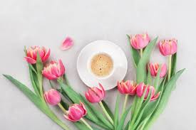 Cup Of Coffee With Spring Tulip Flowers For Good Morning On Mothers Spring Tulips Spring Coffee Cups