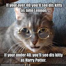 Cat Is John Lennon Or Harry Potter Funny Animal Jokes Funny Cat Memes Animal Jokes