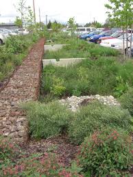 Olympic College Greening The Parking Lot Paysage Pluie Jardin De Pluie Architecture Du Paysage