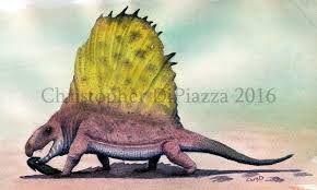 Image result for Dimetrodon